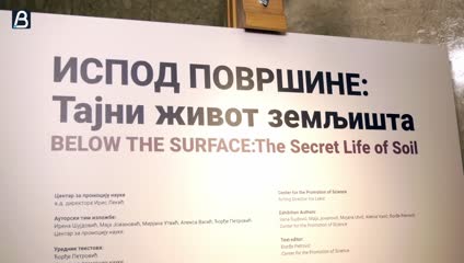 Izložba Ispod površine: tajni život zemljišta u Naučnom klubu Beograd