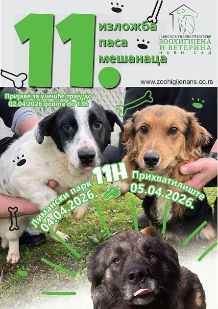 Izložba pasa mešanaca početkom aprila