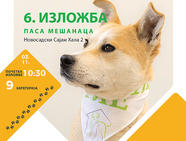 Izložba pasa mešanaca sutra na Novosadskom sajmu