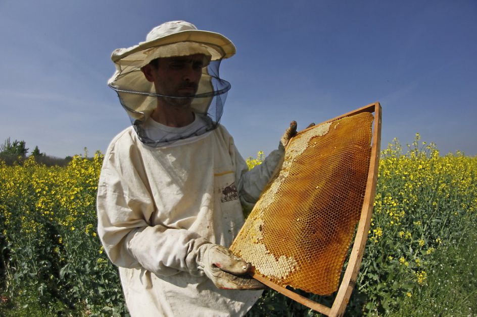Izvoz u Kinu razvojna šansa za sve pčelare u Srbiji