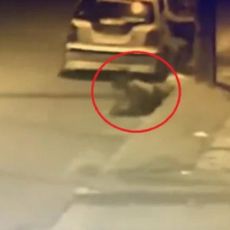 JEZIV SNIMAK! Novinarku napali i pokušali da kidnapuju - prvi put vidi napadača (FOTO/VIDEO)