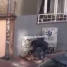 JEZIVA SCENA USRED BEOGRADA: Mladić se iživljavao nad psom - NIKO nije prišao da ga spasi od NASILNIKA (VIDEO)