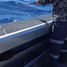 JEZIVO! Morski pas uskočio ribolovcima u čamac, imali su neopisivu sreću, jedna stvar ih je spasila?! (VIDEO)