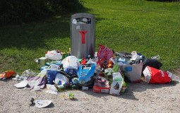 
					JKP Čistoća u Novom Sadu: Građani ne prestaju da prave divlje deponije 
					
									