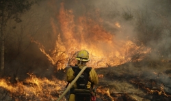 Jak vetar raspiruju požare u Kaliforniji i solidarnost medju gradjanima