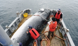 Japan se povlači iz Komisije za lov na kitove 