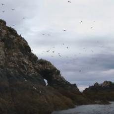 Japansko ostrvo MISTERIOZNO NESTALO: Lokalno stanovništvo u ŠOKU, sada preti NOVA OPASNOST (FOTO/VIDEO)