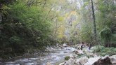 Jedna od najčistijih reka u Srbiji: Netaknuti biser prirode prepun lekovitih izvora VIDEO/FOTO