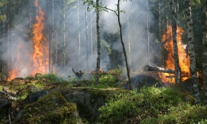 Jeziva noć u Republici Srpskoj: Zbog ljudske nepažnje, izbilo 14 požara!