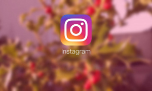 Još jedna krupna promena! Instagram napokon uveo opciju koji su svi željno čekali!