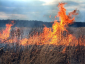 Juče 15 požara u okrugu: Ne palite strništa, PLATIĆETE PAPRENO