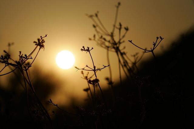 Jutro sveže, pa sunčano i toplo  do 25 stepeni