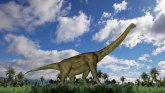 Južna Afrika: Kako je pastir pronašao groblje dinosaurusa