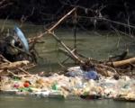 Južna Morava opet je tužna - njome plutaju flaše, gume i drugi otpad