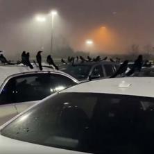 KAO U HIČKOKOVOM HOROR FILMU: Na stotine crnih ptica sletelo na parking, mnogi su tada VIDELI NEŠTO  JEZIVO (VIDEO)