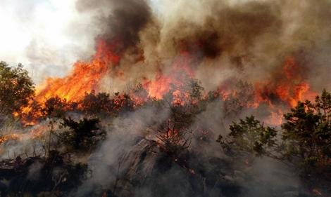 KATASTROFALNA SITUACIJA Veliki požar u Ljubinju širi se prema selima: STANJE TEŠKO, plamen ide i do 50 metara u visinu