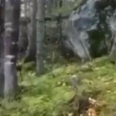 FENOMEN SNIMILA KAMERA! DOKAZ DA JE PRIRODA MOĆNA: Niko ne zna zbog čega je disala šuma (VIDEO)