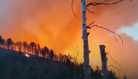 KIŠA NIJE UGASILA VATRENU STIHIJU Požar guta borovu šumu kod Mostara: „Ovo je ekocid!“ (VIDEO)