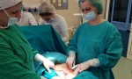 KOMPLIKOVAN ZAHVAT U KRUŠEVAČKOJ BOLNICI: Operisali ženi tumor težak 30 kilograma (FOTO)