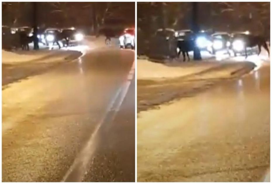 KONJI IZAŠLI NA ULICE, PA NAPRAVILI GUŽVU: Prizor koji je iznenadio mnoge vozače kod Sarajeva (VIDEO)