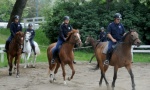 KONjIČKA ČETA: Konji za redovnu patrolu i neke fine stvari