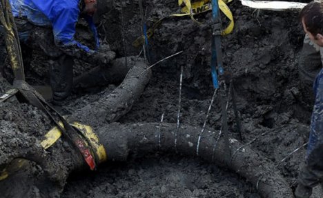 KOPALI AUTOPUT ISKOPALI SKELET: Pronađeni ostaci mamuta u Beču!