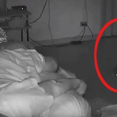 KOŠMAR SVIH KOŠMARA! PITON se ušunjao u kuću i ujeo staricu dok je spavala! (VIDEO)
