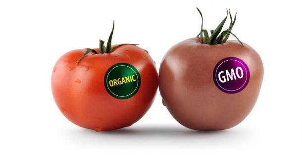 Kakav je zakon u Srbiji - obeležavanje i prodaja GMO proizvoda
