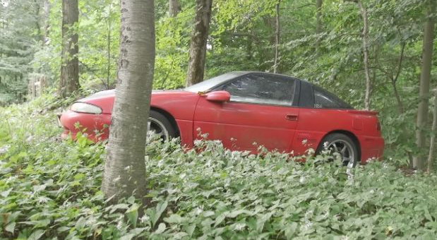 Kako izgleda detaljno čišćenje automobila koji je 10 godina stajao u šumi?