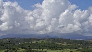 Kako klimatske promene „prazne“ portorikanske kišne šume