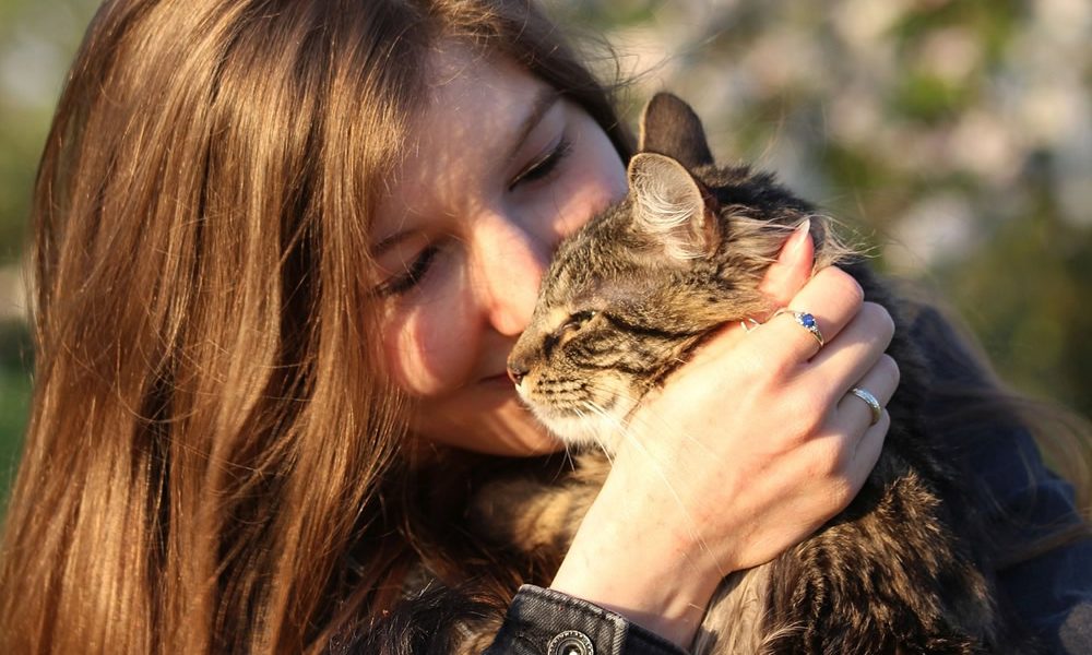 Kako nam mačke produžavaju život?