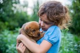 Kako pas može da pomogne vašem detetu? VIDEO