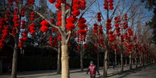 Kako se proslavlja Kineska nova godina?