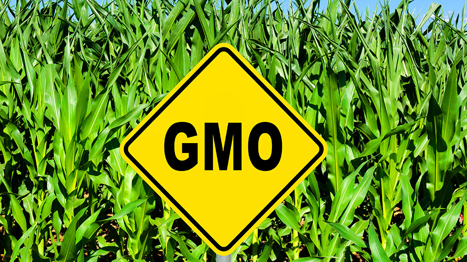 Kako sprečiti uvoz GMO proizvoda, bez zabrane? 