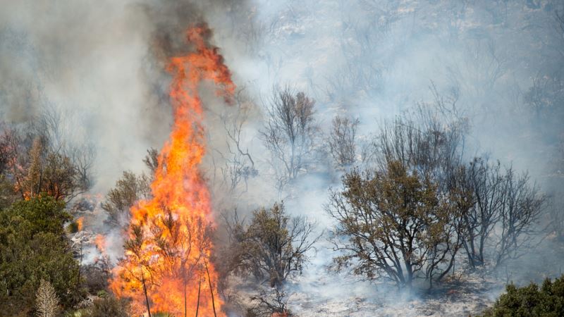 Kalifornija: Požar se približava zamku Herst