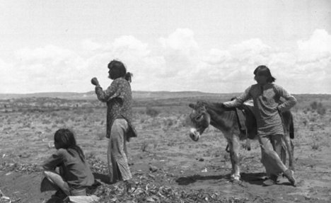 ​Kalifornijski masakr: Ovo je priča o genocidu nad američkim Indijancima