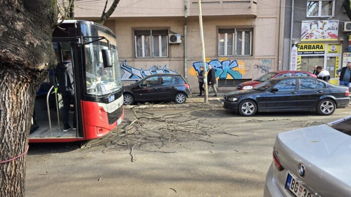 Kamion odlomio granu u centru Niša – saobraćaj bio obustavljen