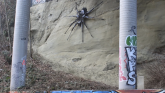 Kanada i umetnost: Traži se novo mesto za ogromnu skulpturu pauka