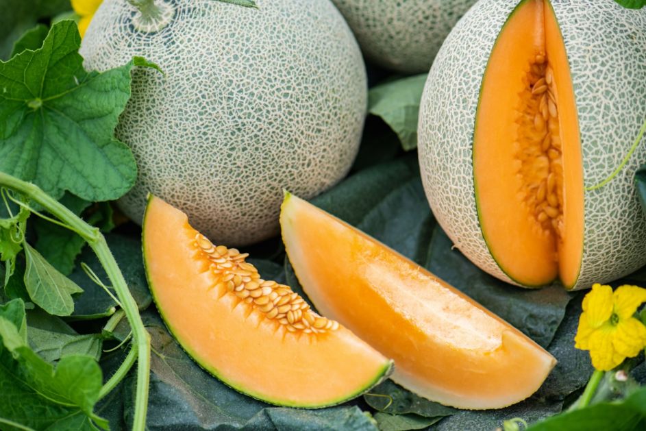 Kantalupe, ananas dinja, medna rosa…Koja ima najviše kalorija, a koja najmanje?