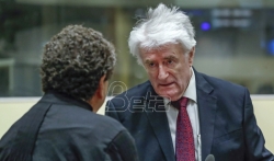 Karadžićeva odbrana: Sudjenje nepravično, presudu poništiti i naložiti novi proces
