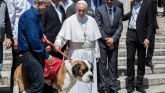 Katolička crkva i porodica: Papa Franja kaže da su ljudi koji neće decu, već imaju kućne ljubimce - sebični