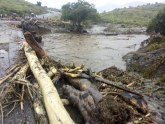 Kenija: Poplave odnele 65 života