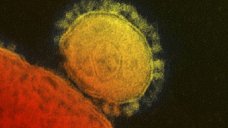 Kina objavila još 17 slučajeva obolenja misterioznim virusom 