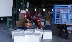 Kineski logistički sektor se oporavlja uz podršku vlade