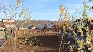 Kladovo: Deponiju zamenio eko-park i dečije igralište