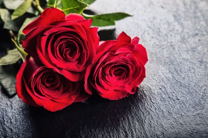 Klasičan i neprevaziđen miris: Ruže su ponovo u modi