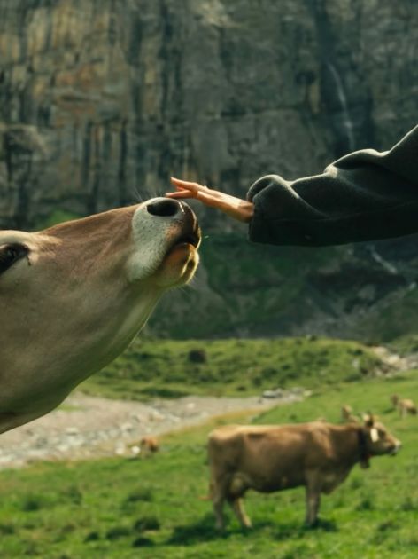 Klimatska anksioznost: Kako se nositi sa brigom o budućnosti planete?