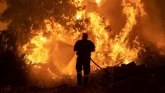 Klimatske promene i Grčka: Meštani tvrde - sve na Eviji je uništeno, premijer se izvinio zbog spore reakcije