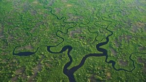 Klimatske promene i suptropska močvara Everglejds: vreme da se promisli