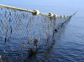 Klopka za krivolovce: Bacili mrežu u jezero, pa uleteli u zasedu ribočuvara
